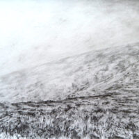 Scottish heather drawing 1