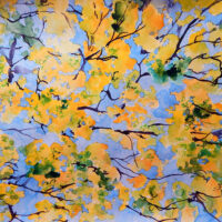 Yellow leaves