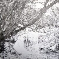 Hidden waterfall study