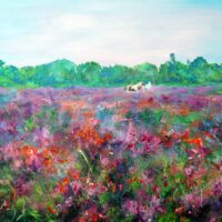 Wild horses