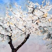 White blossom