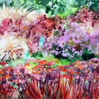 Sensory garden