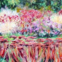 In the sensory garden