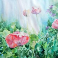 Poppies in the garden. Watercolour version.