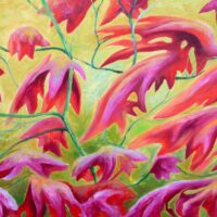 Magenta leaves
