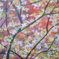 Blossom on a burnt sienna background.