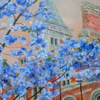 Blue blossom