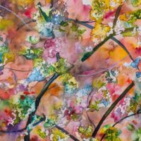 Blossom on a burnt sienna background watercolour version.