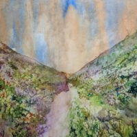 Path through a wild place,