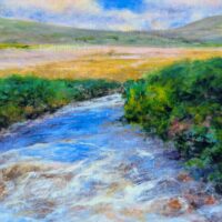 Poisoned valley stream